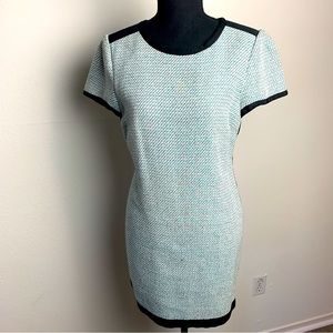 Shift Banana Republic Dress